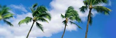 Header image1